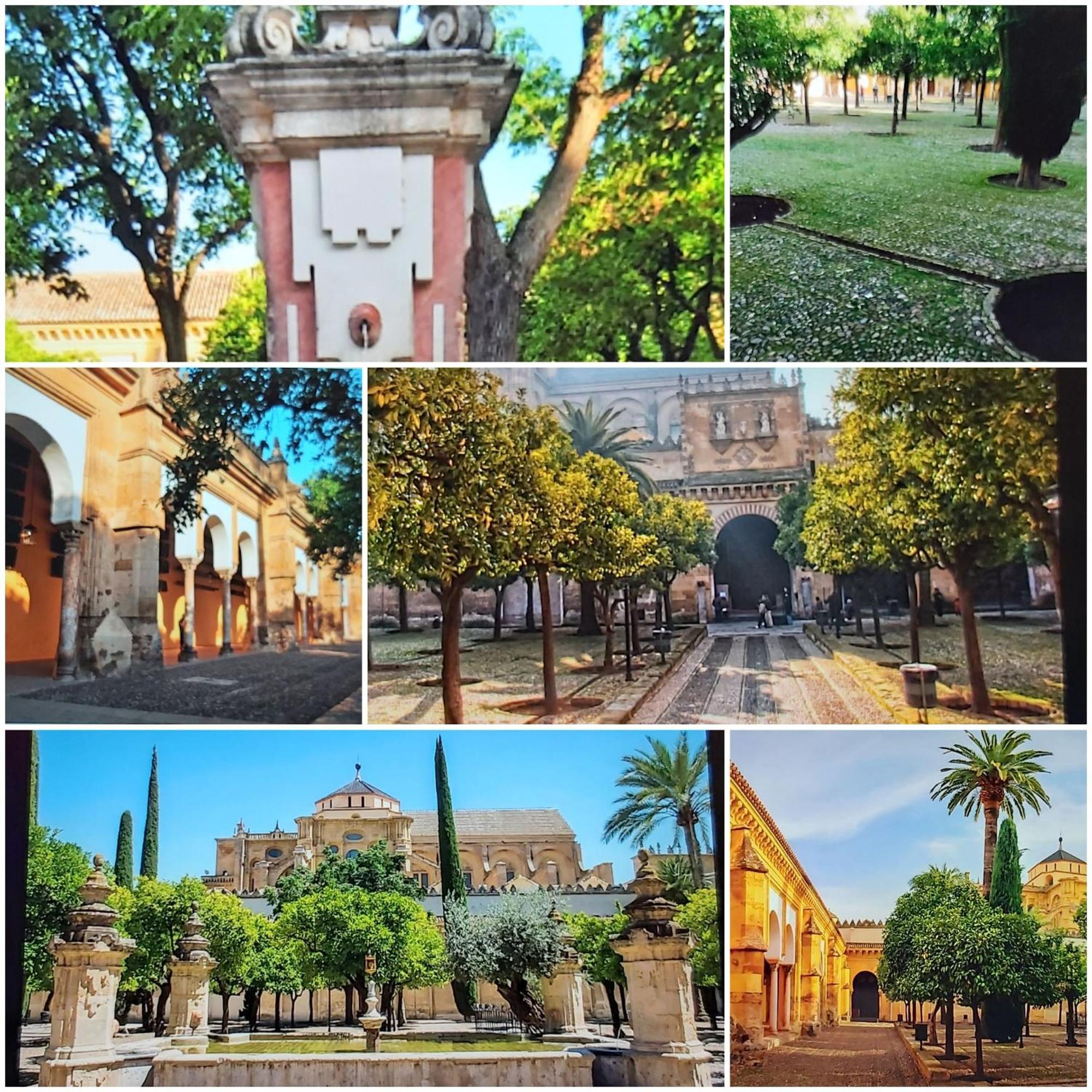 A 20 Metros De La Mezquita Catedral ,Apartamentos Turistico Cespedes 5 Cordova Camera foto